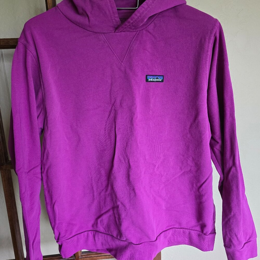 Patagonia mens large hoodie